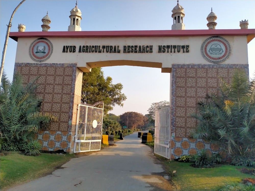 Ayub Agricultural Research Institute (AARI)